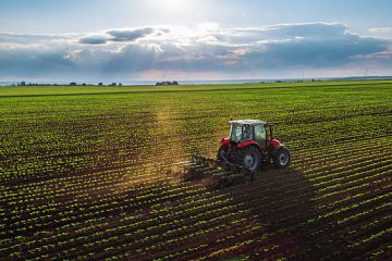 Ce sunt prășitoarele și ce importanță au în agricultură?